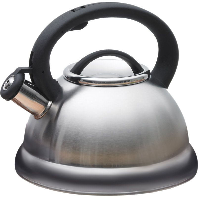 Creative Home Alexa 3 pintes Bouilloire pour cuisinière en acier inoxydable, Acier Inoxydable