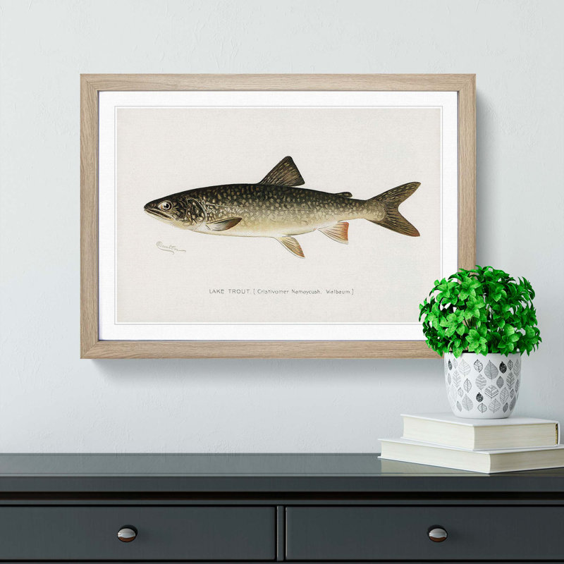 Lake Trout by Sherman F. Denton - Picture Frame Painting Print, 27cm H x 36cm W x 2cm D, Oak Framed