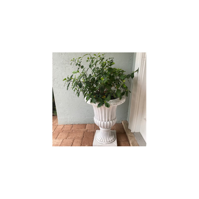 Rigoberto Urn Planter - Antique White, Set of 2