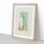 Cactus Illustration - Framed Print-55620952-55620953