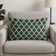 Indoor and Outdoor Throw Pillow