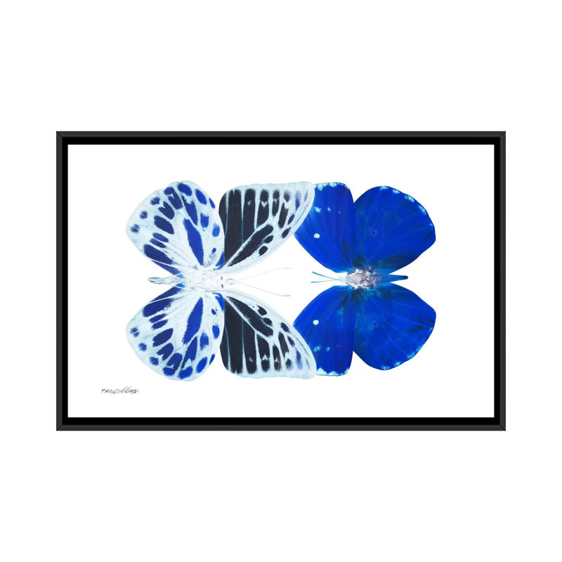 « miss papillon x-ray xiv », reproduction d’impression sur toile, H 18 po x l 26 po x P 1,5 po, Toile avec cadre noir
