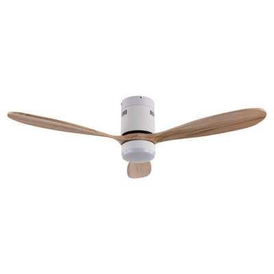 Ventilateur de plafond Jameison