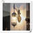 Bellevale Brass LED Armed Sconce