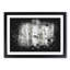 Silver Birch Tree Forest - Picture Frame Graphic Art Print-56876299-56876298
