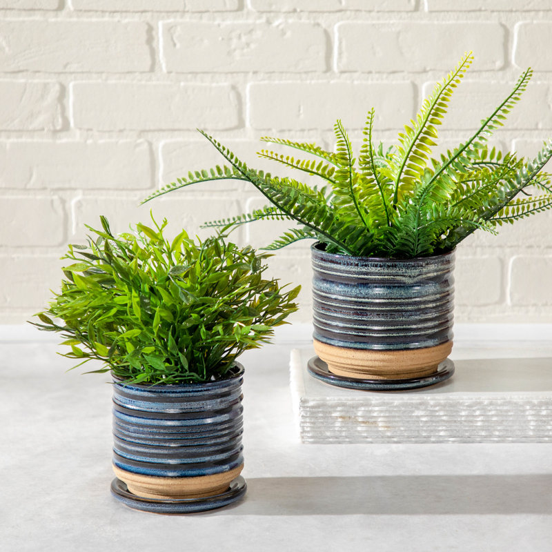 Balmer Ceramic Saucer Planter with Ribbed Texture, 1, White