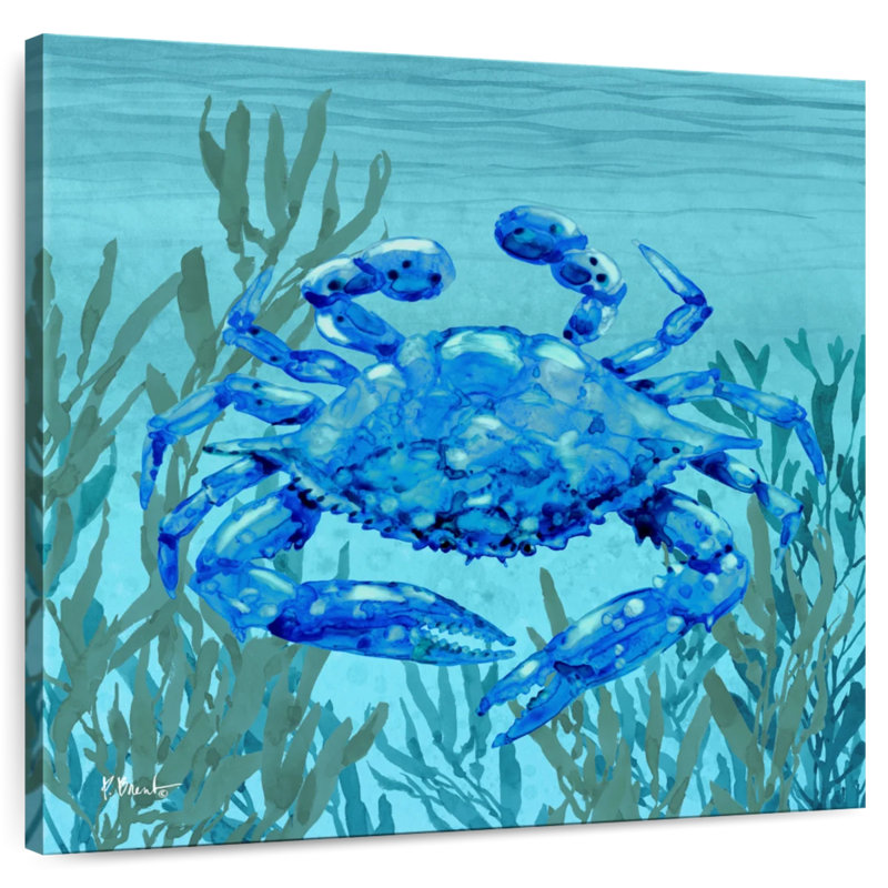 Brampt Tonga Sealife III
