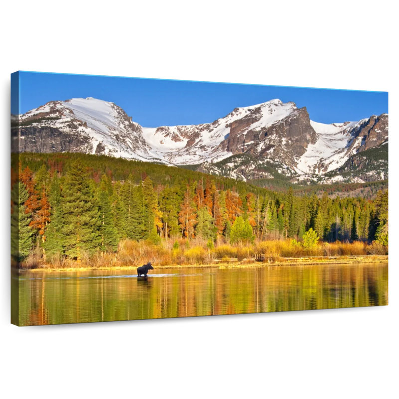 Moose Alvord Lake, Lakeside Moutains, H 8 po x l 12 po