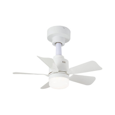 Ceiling Fan