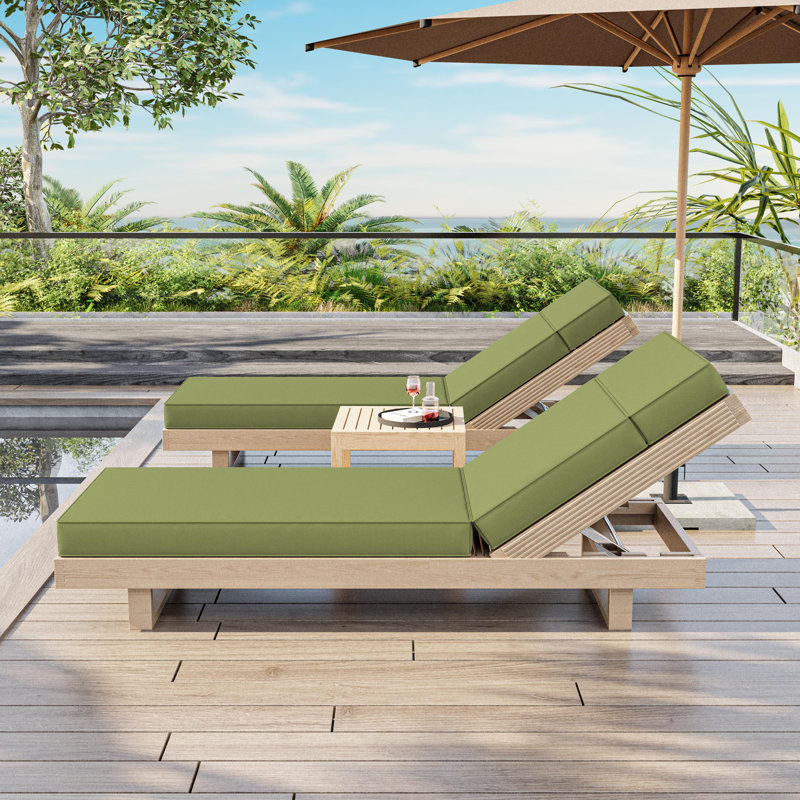 Coussin de chaise longue d'extérieur Wynee, L 25,8 po x P 79,75 po, Pois vert