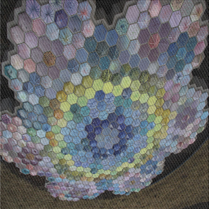 Geometric Indoor Rug, Square 8'