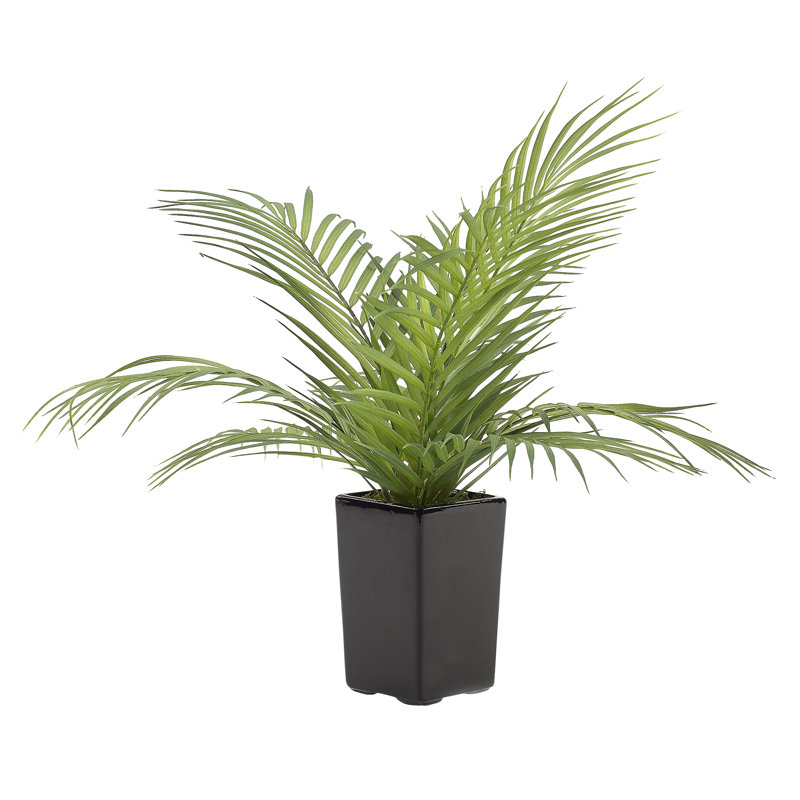 Jardinière en céramique Areca Palm Fronds