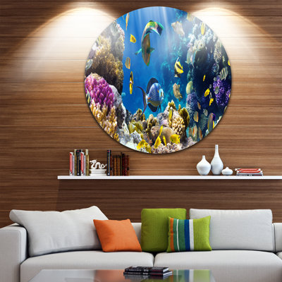 " Fish In Coral Reef Photographic Round Print On Metal "