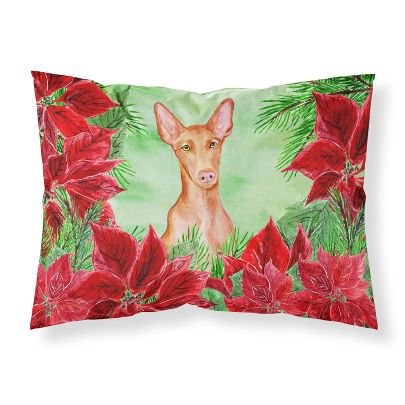 Taie d’oreiller poinsettas, Chien du pharaon