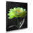 Wrapped Canvas