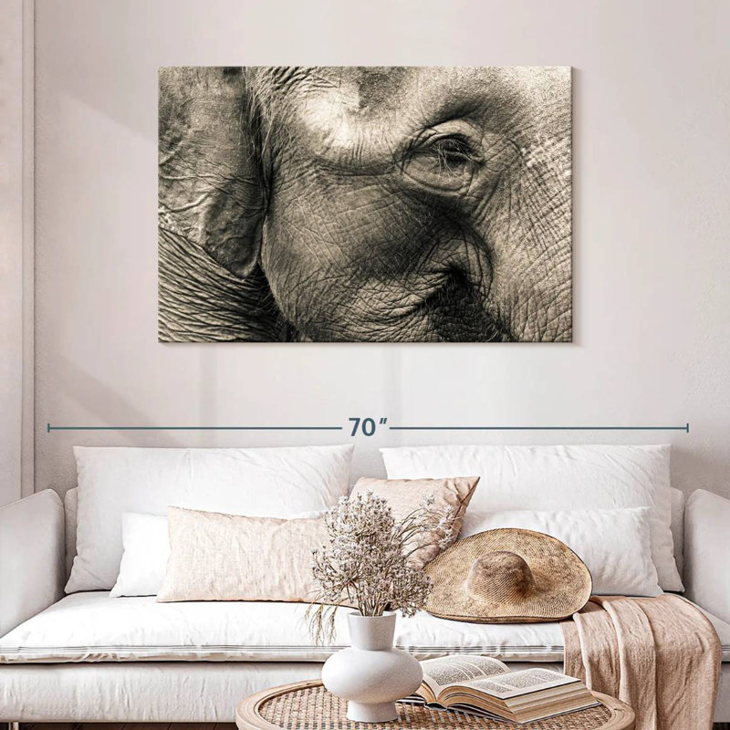 Brampt Wrinkled Elephant Face, 30" H x 45" W