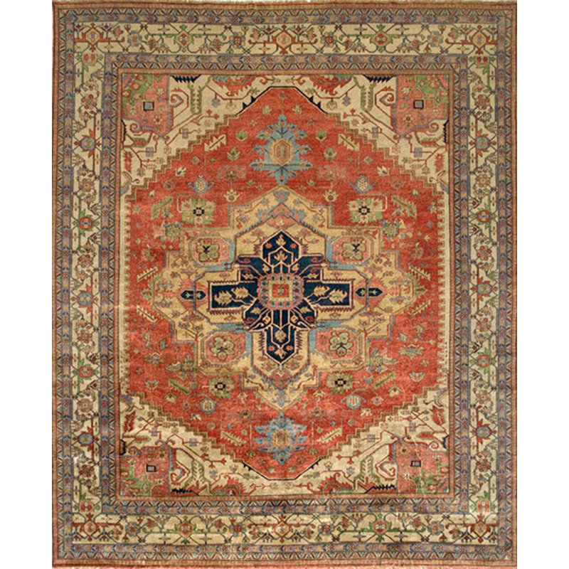 Serapi Southwestern Area Rug