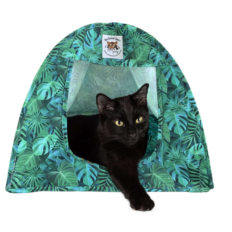 PopUp Canvas Cat Tent | Pet Bed