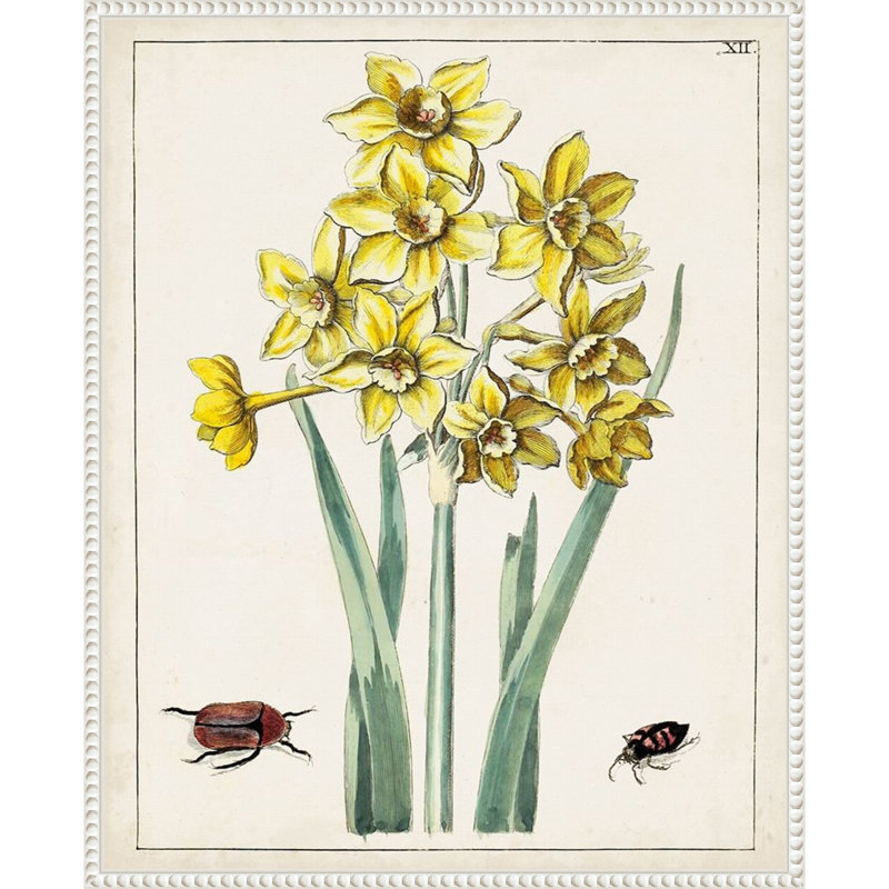 «Dutch Florals III», reproduction d'art sur toile encadrée, H 28 po x l 23 po