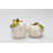 White Pumpkin Salt And Pepper-81750102