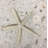 6'' x 6'' Compressed Stone Medallion