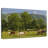 Brampt Cades Cove Horses-107688548