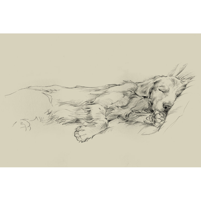 «Dog Days III» par Ethan Harper, reproduction d'art sur toile, H 24 po x l 36 po, Toile tendue