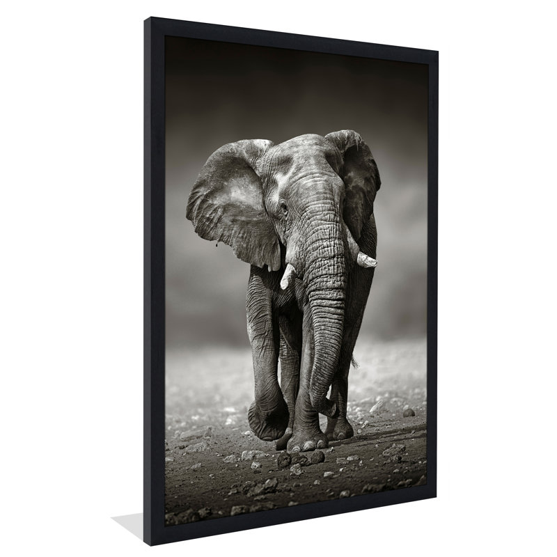 Single Picture Frame Photograph, 39.5" H x 27.5" W x 0.75" D