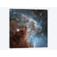 «NGC 2174 (Monkey Head Nebula) (Hubble Space Telescope 24th Anniversary Image)», impression sur toile-19753631-74881250-74881251