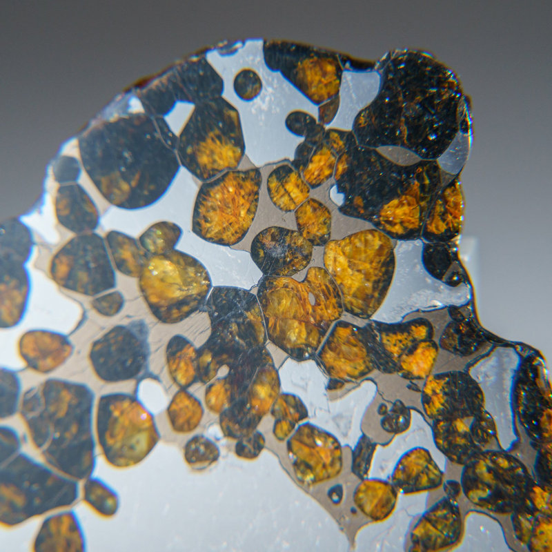 Pallasite Landscape & Nature Crystal