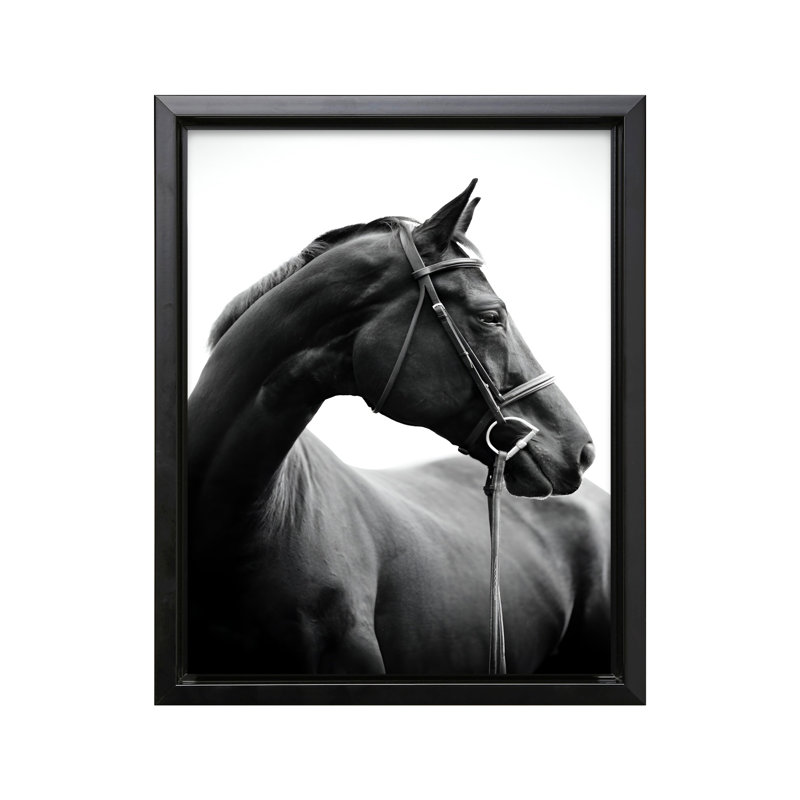 Portrait de cheval n ° 2, Black Framed, Canvas, 12"H x 16"W