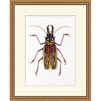 Gilded Beetle 2 Print by Lillian August