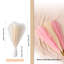 Atoll de 17 po Pampas-469456640
