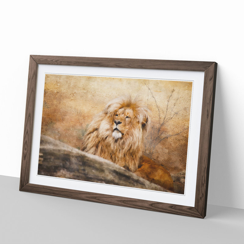 Lion Vol.1 - Picture Frame Graphic Art, Walnut Framed, 36cm H x 48cm W x 2cm D