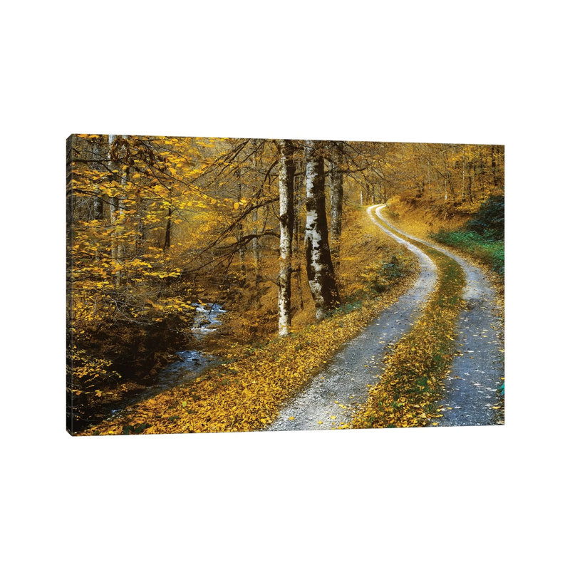 Winding Road by Lars Van De Goor - Wrapped Canvas Print, 66.04 cm H x 45.72 cm W x 1.91 cm D