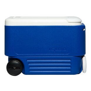 https://assets.wfcdn.com/im/69592571/resize-h310-w310%5Ecompr-r85/1063/106365706/igloo-wheeled-ice-chest-cooler-bluewhite.jpg