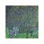 Roses Under The Trees, C.1905 by Gustav Klimt - Painting on Canvas-163094445-163094440