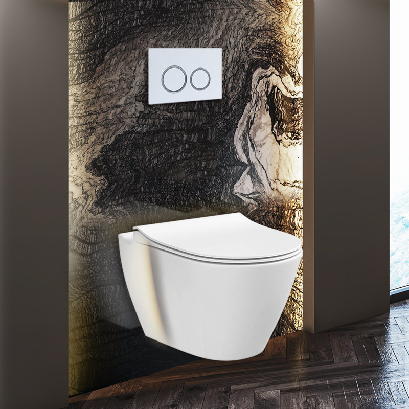 StormOn Dual-Flush Round Wall-Mount Toilet (Seat Included), 6", White