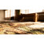 Hand Knotted Wool Animal Print Area Rug in Multicolored