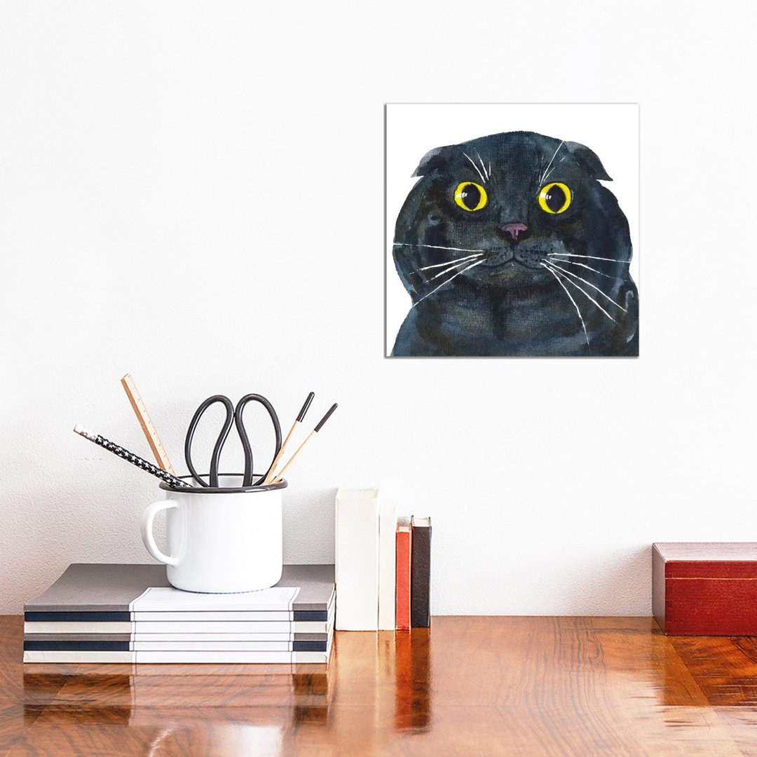 Fat Scottish Fold Black Cat by Alexey Dmitrievich Shmyrov - Wrapped Canvas Print