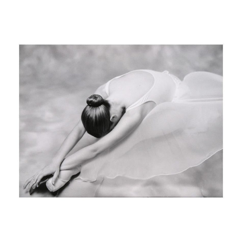 Murale ballerine, L 121 po x l 157 po