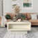 Caomhan Pedestal Coffee Table with Storage