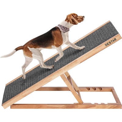 Rampe pour animal 40,94 po Destar