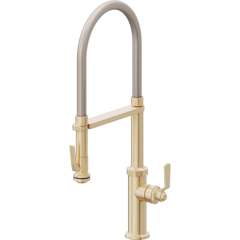 Culinary Pull-Out Kitchen Faucet With Squeeze Sprayer, Satin Brass