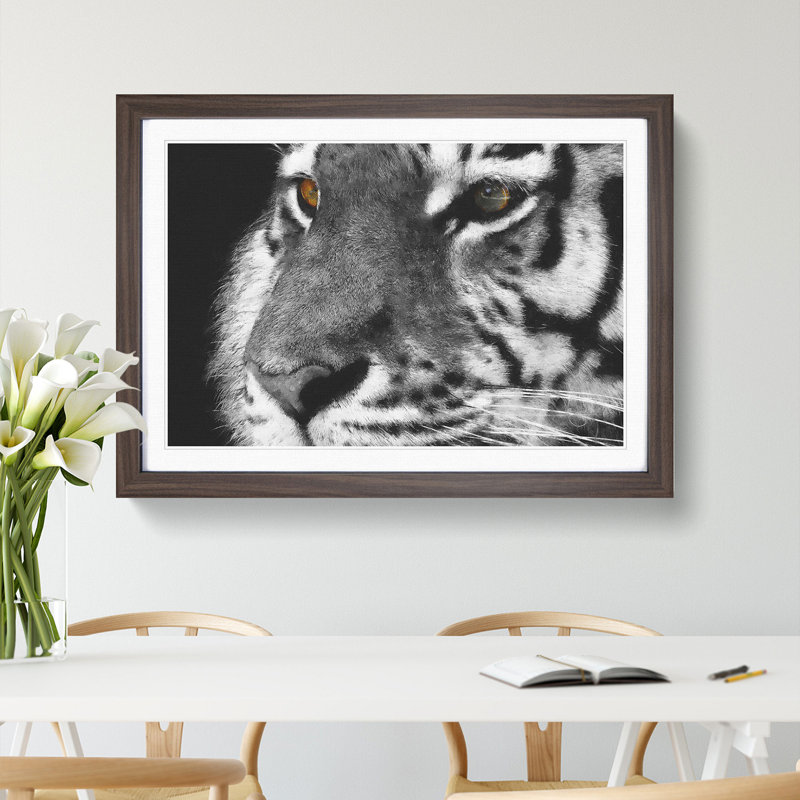 Eyes of the Tiger - Picture Frame Graphic Art Print, 62cm H x 87cm W x 2cm D, Walnut Framed