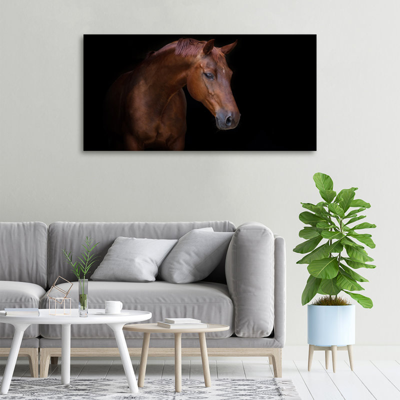 Brown Horse - Wrapped Canvas Print