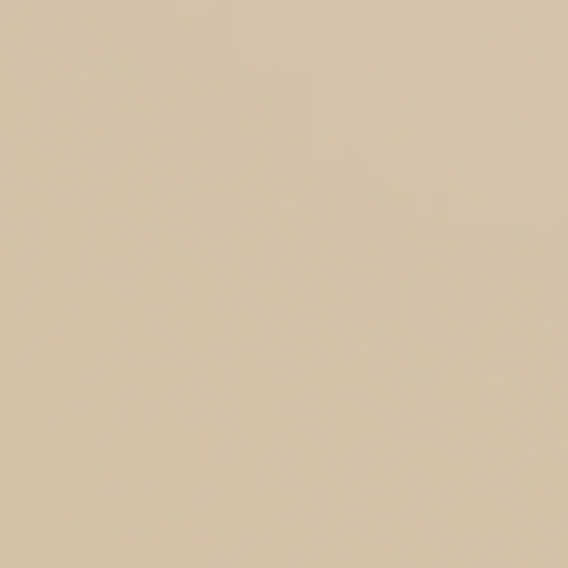 Ready-to-Bed 2.0 Cotton & Trim Sheet Set, White/Taupe, Queen Sheet Set with 2 Pillowcases