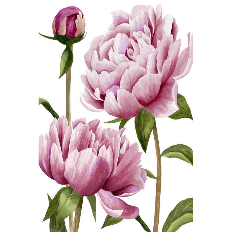 Winsome Pivoines I, H 18 po x l 12 po