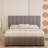 Juhi Upholstered Tufted Linen Platform Bed with Lift-up Storage and Reinforced Slat Support-659079104-659079131