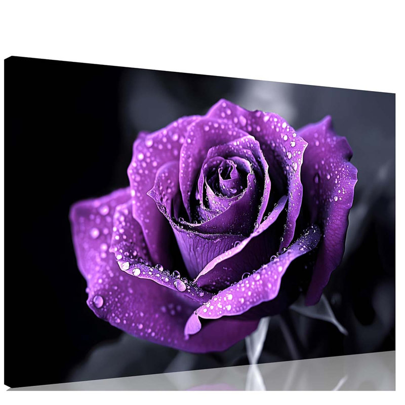Wrapped Canvas Print, 30 cm H x 45 cm W
